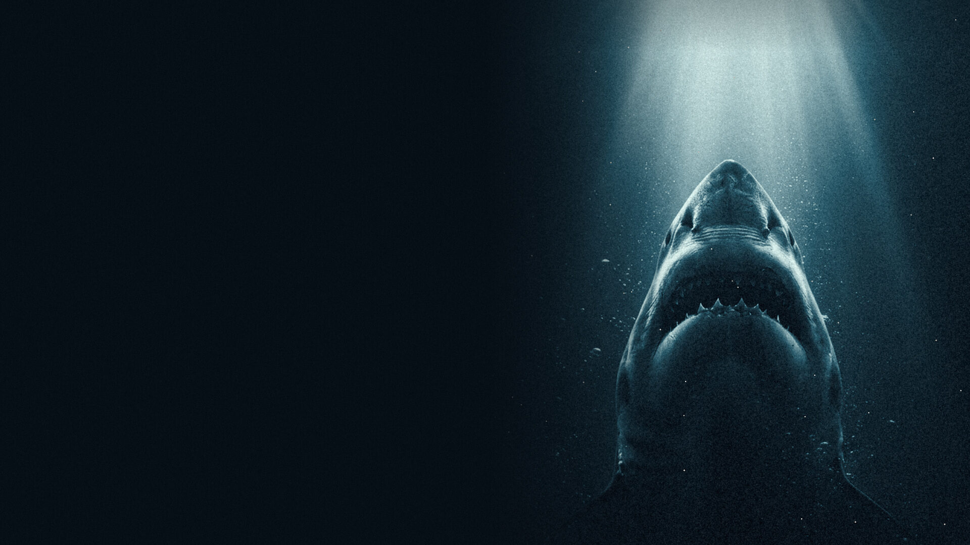 A great white shark rising through a shaft of light in dark water
